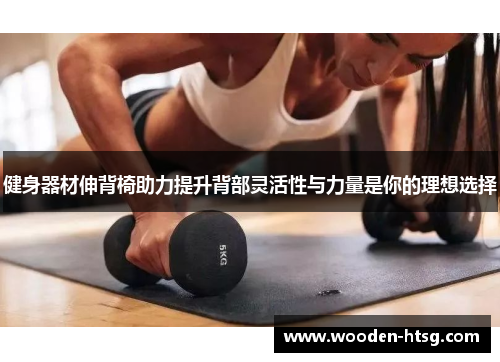健身器材伸背椅助力提升背部灵活性与力量是你的理想选择